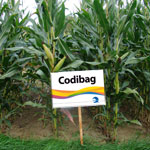 Codibag