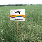 Betty