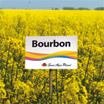 Bourbon